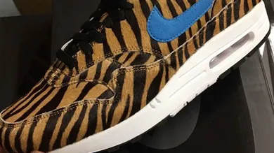 Image via @shoelife2013