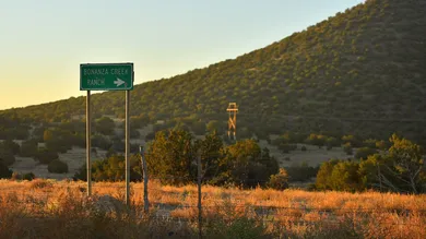 Sam Wasson/Getty Images