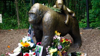 John Sommers II/Getty Images