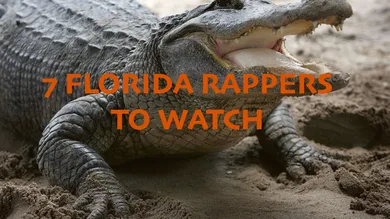 Joe Raedle/Getty Images