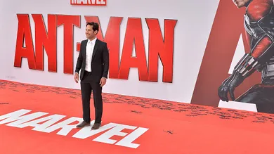 Anthony Harvey/Getty Images