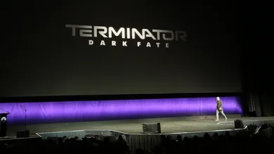 Gabe Ginsberg / Getty Images