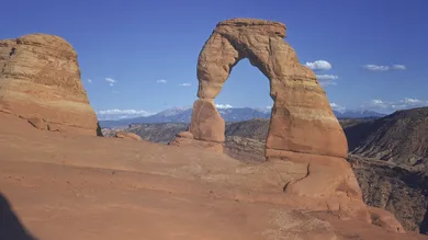 Harvey Meston/Getty Images