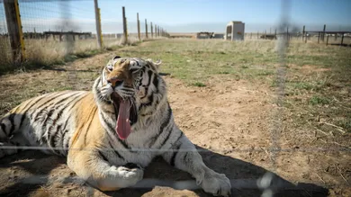 Marc Piscotty/Getty Images