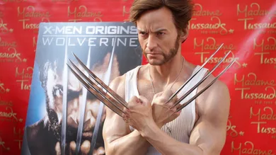 (Stephen Lovekin/Getty Images)