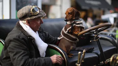 Dan Kitwood/Getty Images