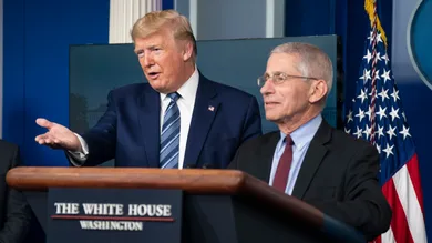 Sarah Silbiger/Getty Images)