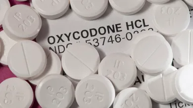 Education Images/UIG via Getty Images