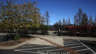 Justin Sullivan/Getty Images