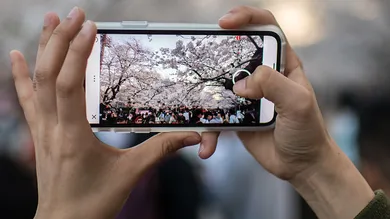 Carl Court/Getty Images