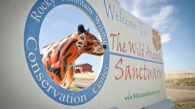 Marc Piscotty/Getty Images