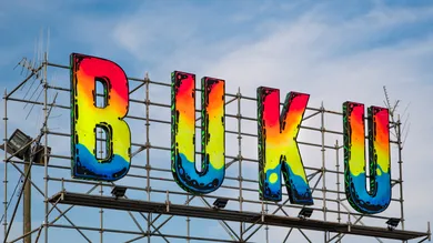 Erika Goldring/Getty Images