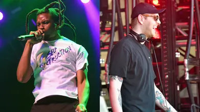 Matt Winkelmeyer/Getty Images for Coachella, FilmMagic/FilmMagic for Bonnaroo Arts And Music Festival