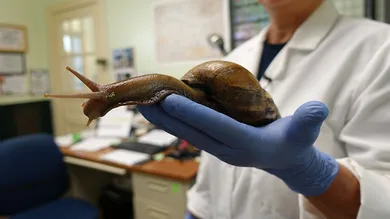 Kerry Sheridan/Getty Images