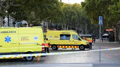 David Ramos / Getty Images