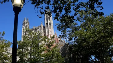 Yana Paskova/Getty Images