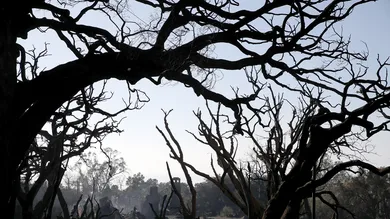 Justin Sullivan/Getty Images