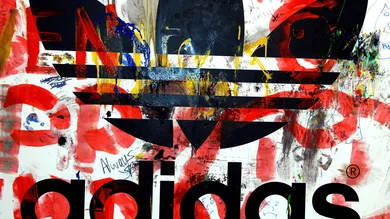 Photo by Shirlaine Forrest/Getty Images