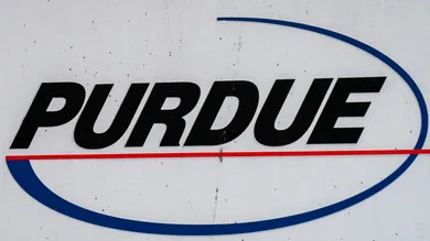 Drew Angerer/Getty Images