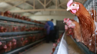 Getty Images/Getty Images for EIF & XQ