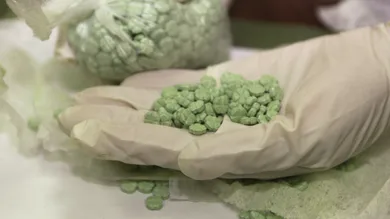 U.S. Customs/Getty Images