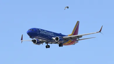 Ethan Miller / Getty Images