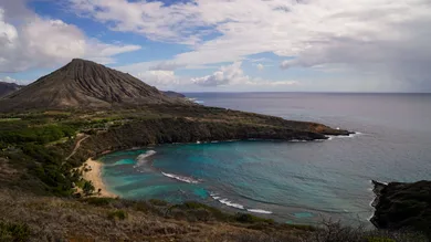 Kent Nishimura / Getty Images