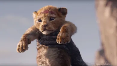 screen cap from Video