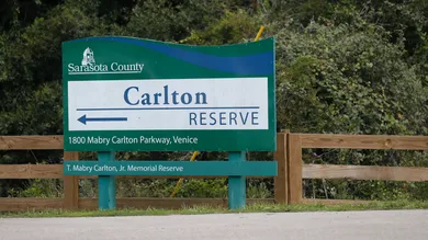 Octavio Jones/Getty Images