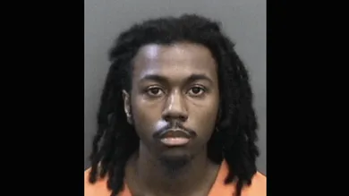 Image via Hillsborough County Sheriff's Office/HNHH