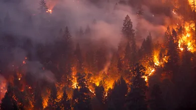 Terray Sylvester/Getty Images