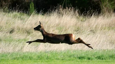 Jamie Squire/Getty Images