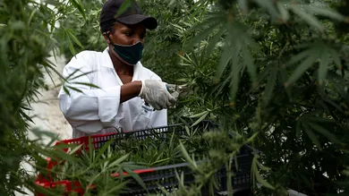 Luke Dray/Getty Images