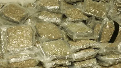 Mark Renders/Getty Images