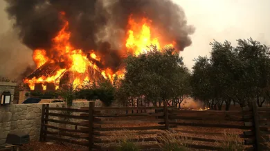Justin Sullivan / Getty Images