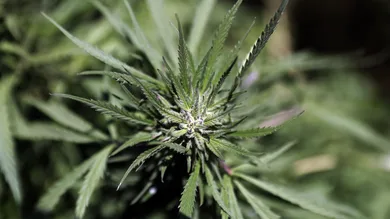 OSEPH EID/AFP/Getty Images