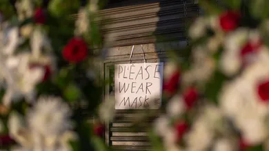 David McNew/Getty Images