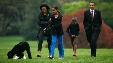 Alex Wong / Getty Images