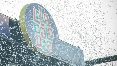 Gina Wetzler/Getty Images