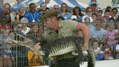 Mark Wilson/Getty Images