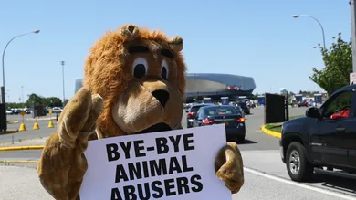 Bruce Bennett/Getty Images