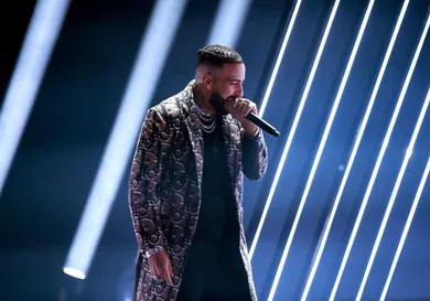 Triller Presents Mike Tyson vs Roy Jones Jr.