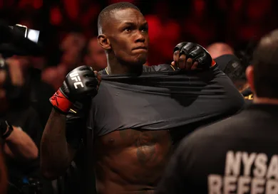 UFC 281: Adesanya v Pereira