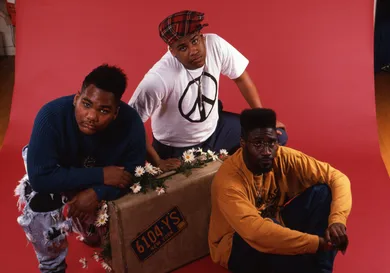 "De La Soul" Portrait