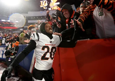 AFC Divisional Playoffs - Cincinnati Bengals v Buffalo Bills