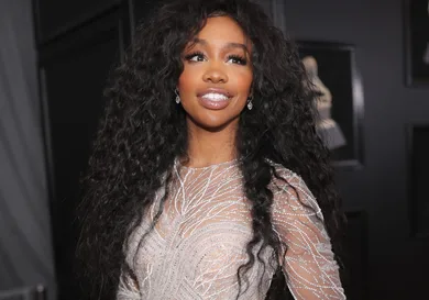 60th Annual GRAMMY Awards - Red Carpet