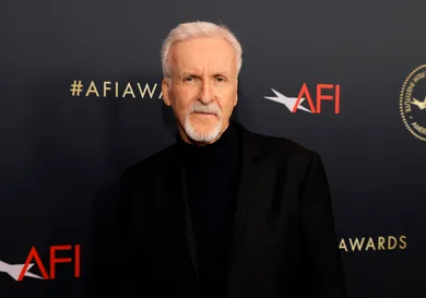 AFI Awards Luncheon - Red Carpet