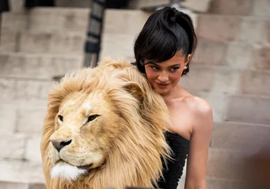 Street Style - Paris Fashion Week - Haute Couture Spring Summer : Day One