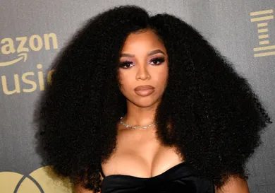 US-ENTERTAINMENT-MUSIC-RECORDING ACADEMY-HONORS-LEGEND