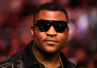 UFC 281: Hooker v Puelles